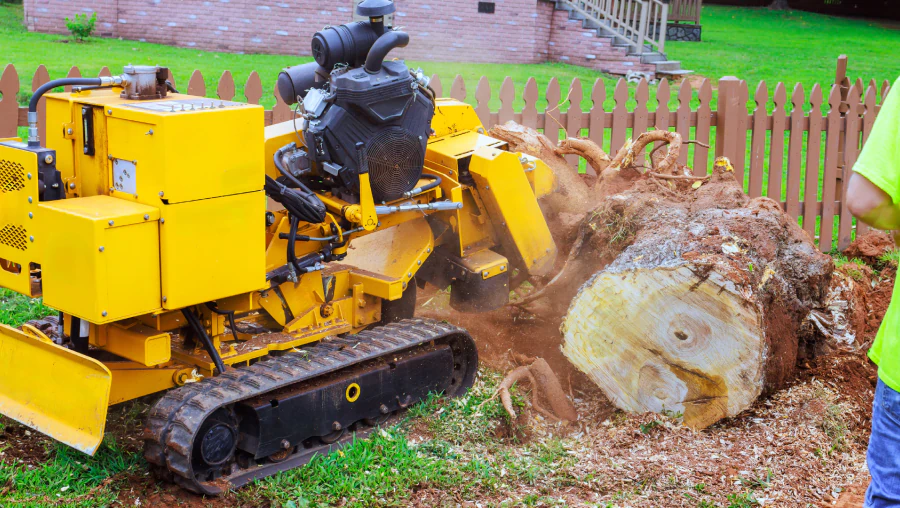 Commercial Stump Grinding 2