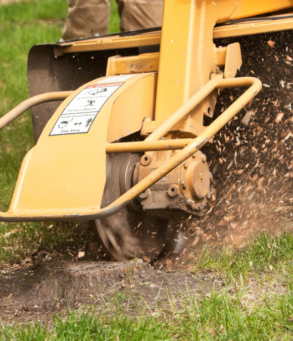 Commercial Stump Grinding
