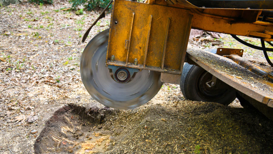 Residential Stump Grinding 2