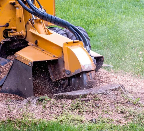 Residential Stump Grinding