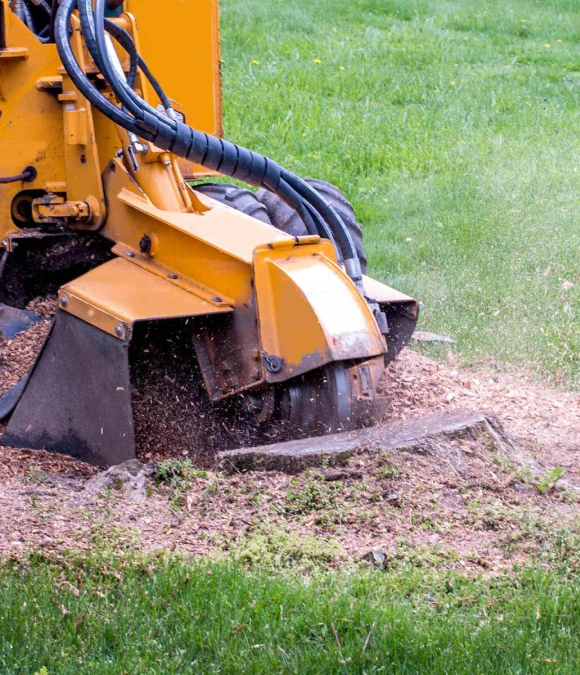Residential Stump Grinding