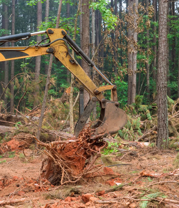 Residential Stump Removal