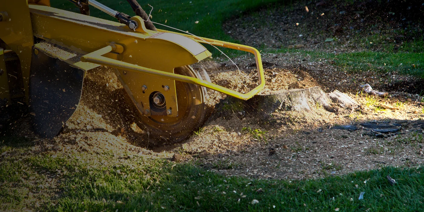 bigfoot stump grinding Hero 2