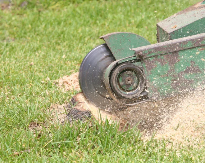 bigfoot stump grinding a