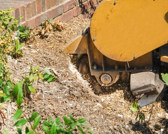 bigfoot stump grinding b