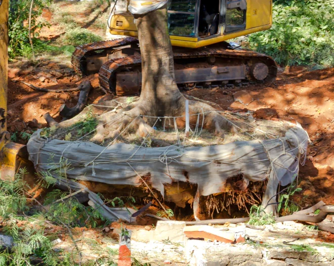 bigfoot stump grinding d